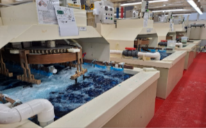 유산동 도금 라인